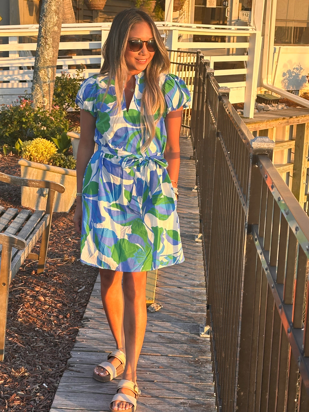 The Holden Dress